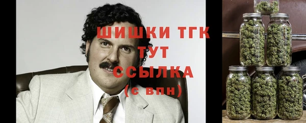 хмурый Мегион