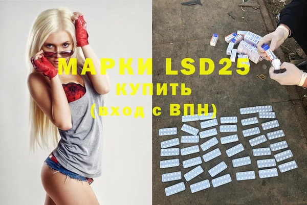 прущие грибы Медногорск