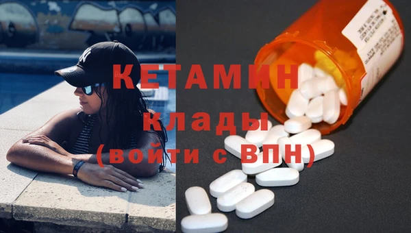 прущие грибы Медногорск